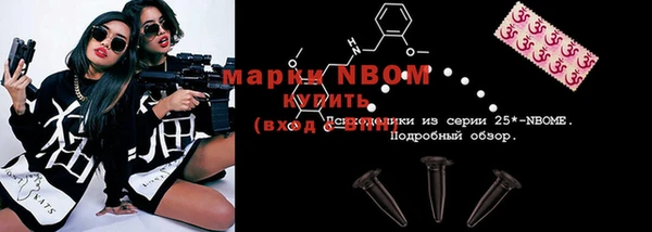 ешки Бородино