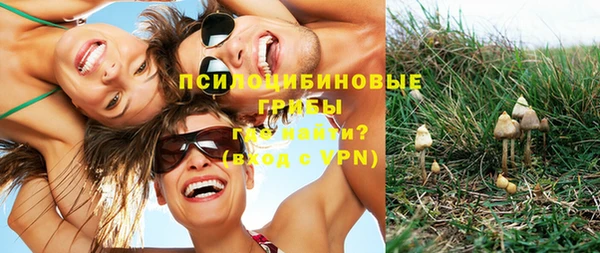 бутират Бугульма