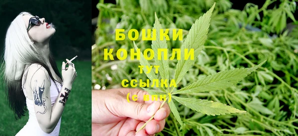 ешки Бородино