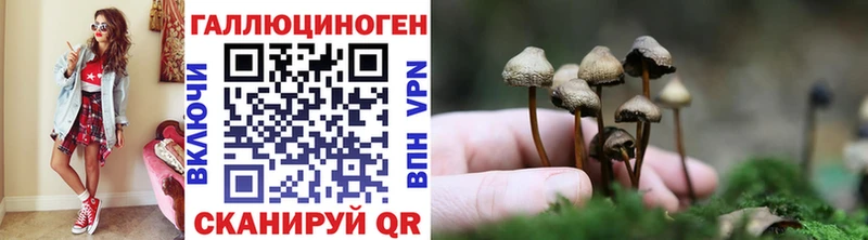 Галлюциногенные грибы прущие грибы  Приволжский 